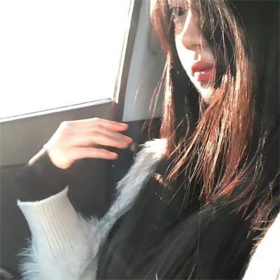 蜂蜜与四叶草